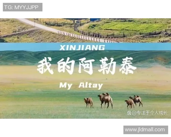 飞盘与梦想交织的旅程：杨静的深度对话与人生启示